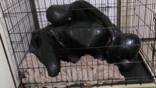 Erito Trapped In Rubber Bitchsuit & Cage Body Massage