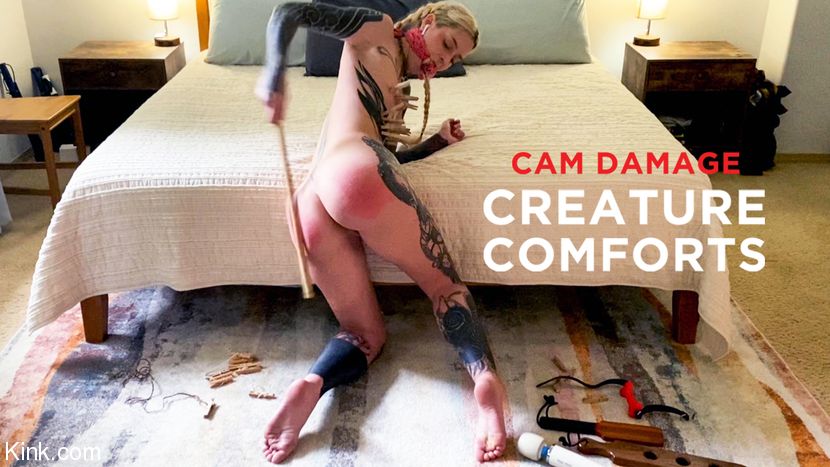 Follando Creature Comforts With Cam Damage And The Pope Cream Pie - 1