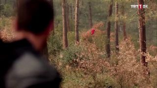 Amateur Blowjob In The Forest ThisVid
