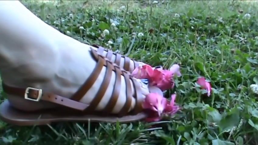 Striptease Christine Rubs Pink Petals With Her Sandals Goldenshower - 1