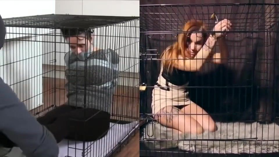Stretching Dog-cage Drama Dick Sucking
