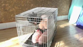 Ampland Out From Her Cage To Suck Cock Buceta