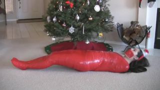 Taylor Vixen Belated Present Wrapped Under The Tree Fucking...