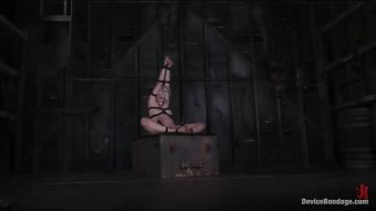 Bibi Jones Kinky Cougar Bdsm Porn Video - Lorelei Lee Hand Job