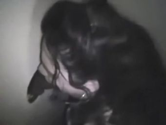 Webcams Latin Playgirl slut cucks black at gloryhole in a sexshop Time