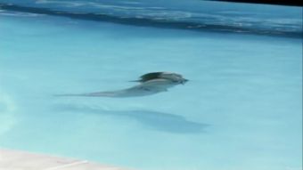Thief Swimming Pool (2003) Charlotte Rampling, Ludivine Sagnier Clitoris